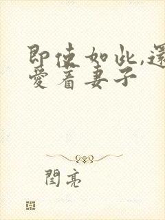 即使如此,还是爱着妻子封面