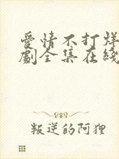 爱情不打烊电视剧全集在线观看