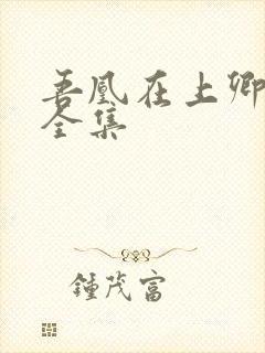 吾凰在上卿在下全集