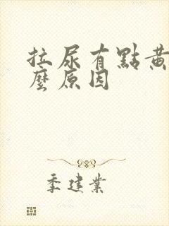 拉尿有点黄是什么原因