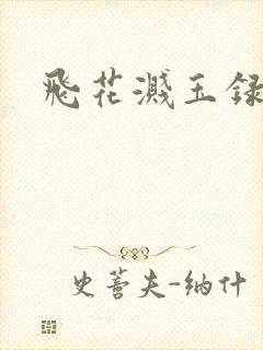 飞花溅玉录