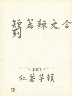 短篇辣文合集系列