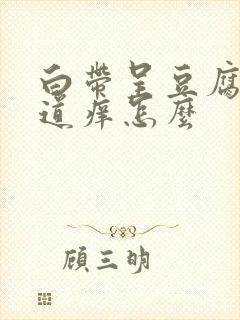 白带呈豆腐渣阴道痒怎么