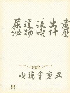 尿道流出黄绿分泌物吃什么药