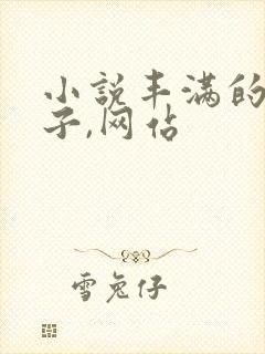 小说丰满的大奶子,网站