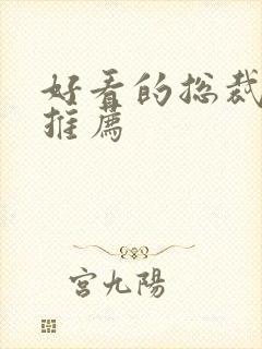 好看的总裁小说推荐封面