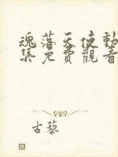 魂落天使动漫全集免费观看高清封面