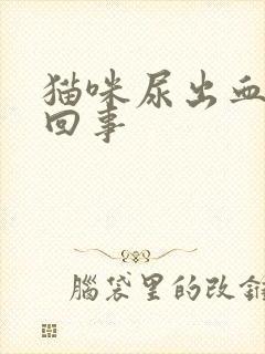 猫咪尿出血怎么回事