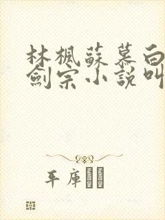 林枫苏慕白神霄剑宗小说叫什么