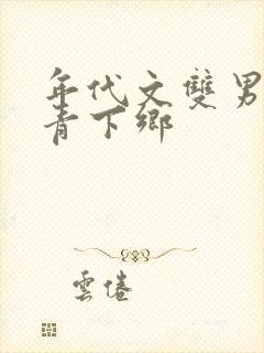 年代文双男主知青下乡封面