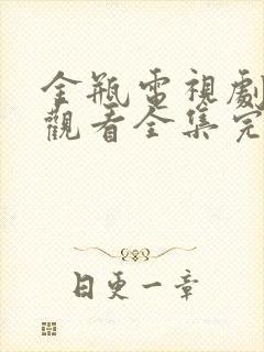 金瓶电视剧免费观看全集完整版2008年