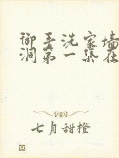 御手洗家墙壁破洞第一集在线看封面