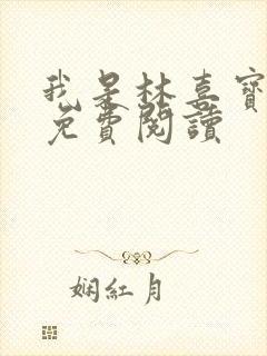 我是林喜宝小说免费阅读