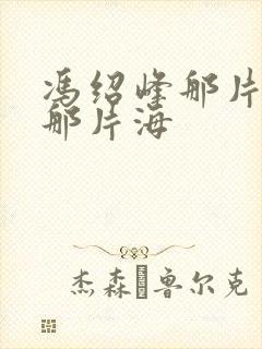 冯绍峰那片星空那片海封面