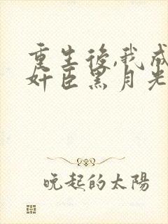 重生后,我成了奸臣黑月光哪里可以阅读