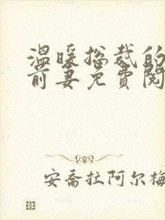 温暖总裁的替身前妻免费阅读