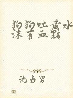 狗狗吐黄水带泡沫有血点