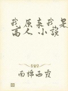 我原来我是绝世高人 小说