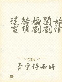 从结婚开始恋爱电视剧剧情分集介绍封面