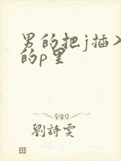 男的把j插入女的p里