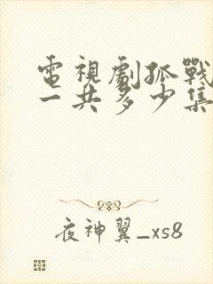 电视剧孤战迷城一共多少集