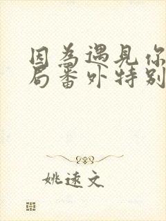 因为遇见你大结局番外特别版