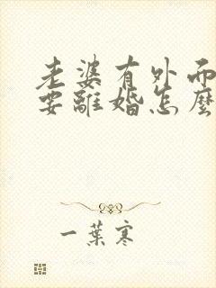 老婆有外面有人要离婚怎么办