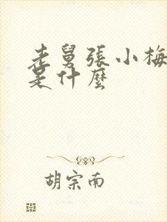 老舅张小梅结局是什么