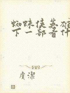 蜘蛛侠英雄远征下一部看什么封面