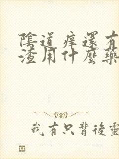 阴道痒还有豆腐渣用什么药封面