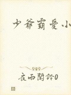 少爷霸爱小丫头