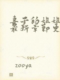 妻子的姐姐小说最新章节更新