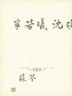 宁若曦 沈砚舟
