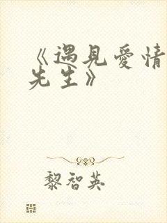 《遇见爱情的利先生》