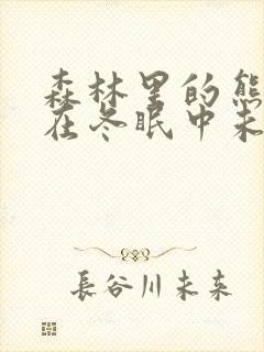 森林里的熊先生在冬眠中未增减版漫画