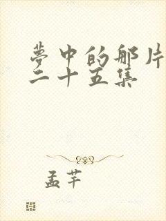 梦中的那片海第二十五集