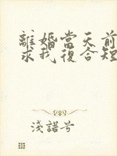 离婚当天前夫跪求我复合短剧免费