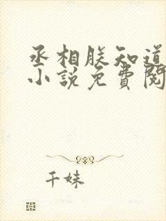 丞相朕知道错了小说免费阅读