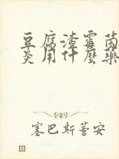 豆腐渣霉菌性阴炎用什么药