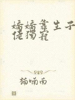 娇娇靠生子被大佬独宠