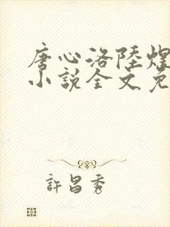 唐心洛陆煜宸的小说全文免费阅读