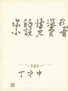 你的情深我不配小说免费看