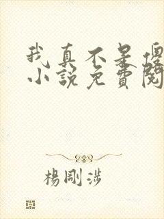 我真不是傻子了小说免费阅读全文封面