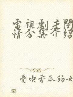 电视剧老闺蜜剧情分集介绍