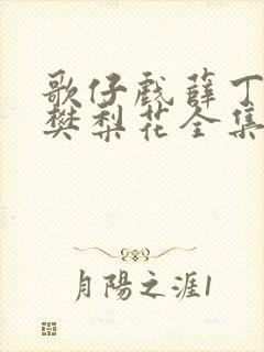 歌仔戏薛丁山与樊梨花全集