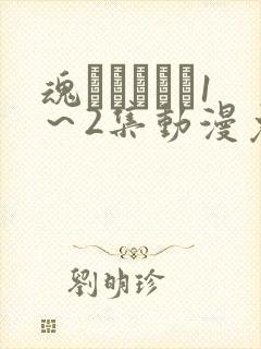 魂インサート1～2集动漫免费播放