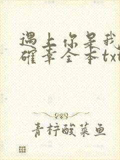 遇上你是我的小确幸全本txt下载