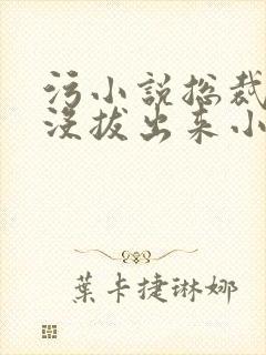 污小说总裁整夜没拔出来小说在线阅读