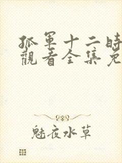 孤军十二时在线观看全集免费播放