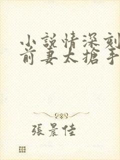 小说情深刻骨,前妻太抢手免费阅读